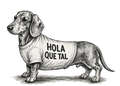 CAMISETA HOMBRE "TECKEL"